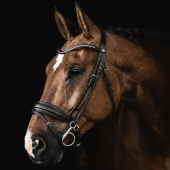 Dressage Bridle Integro Black Dressage Bridle Integro Black