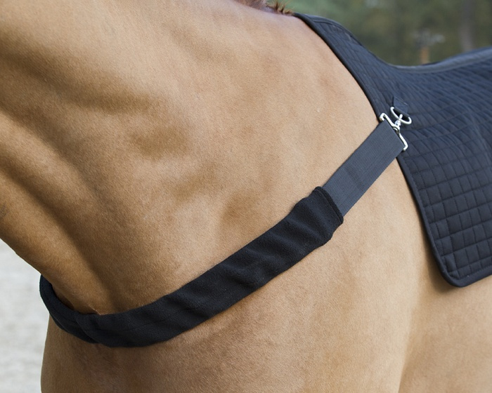 Chest for Horse Back Warmer