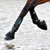 E-Vento Cross Country Boots Front Black E-Vento Cross Country Boots Front Black