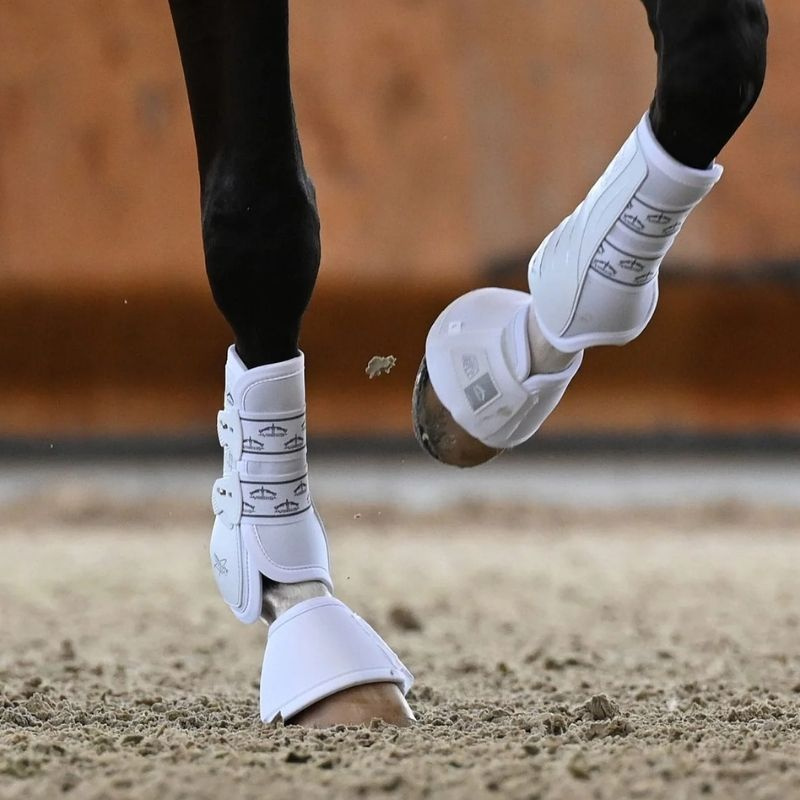 Dressage Boots Absolute Front Elastic White