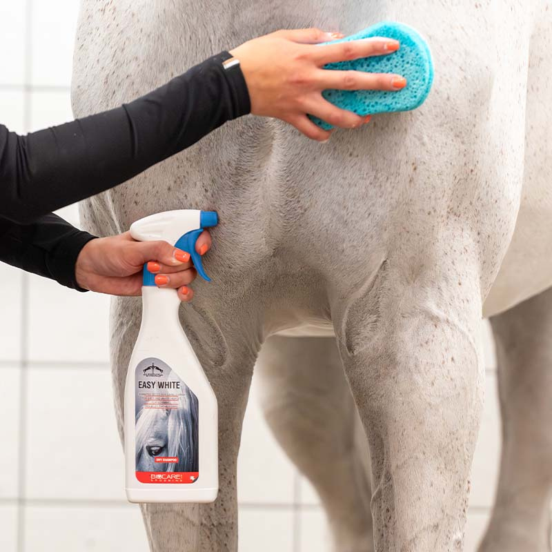 Dry Shampoo Easy White 500ml