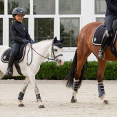 Dressage Saddle Pad Velvet Emblem Heritage Navy Blue Dressage Saddle Pad Velvet Emblem Heritage Navy Blue