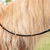 Reins Coloured Stops Black Reins Coloured Stops Black
