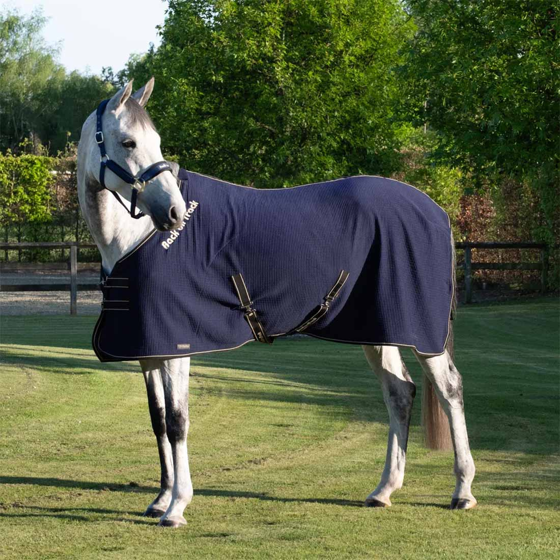 Cooler Rug Quick Cooler Blue