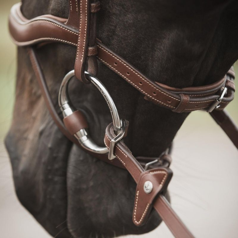Rubber Reins with Stoppers Eccelente Buckle Loop Brown