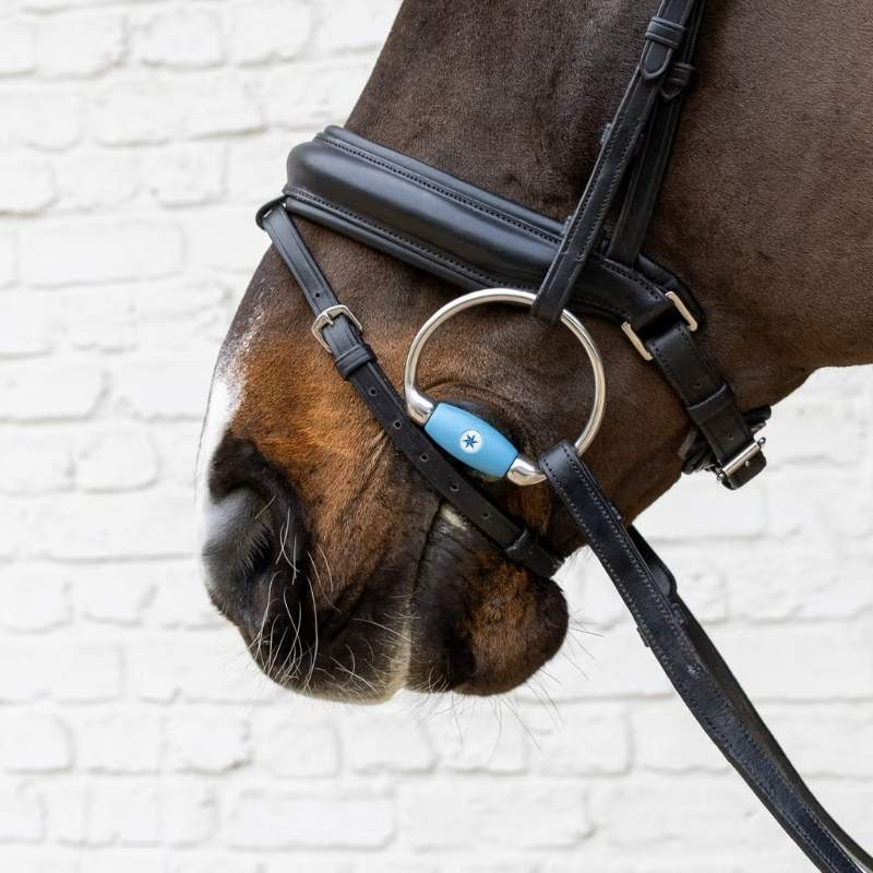 Eggbutt Bit Flex Medium 20mm