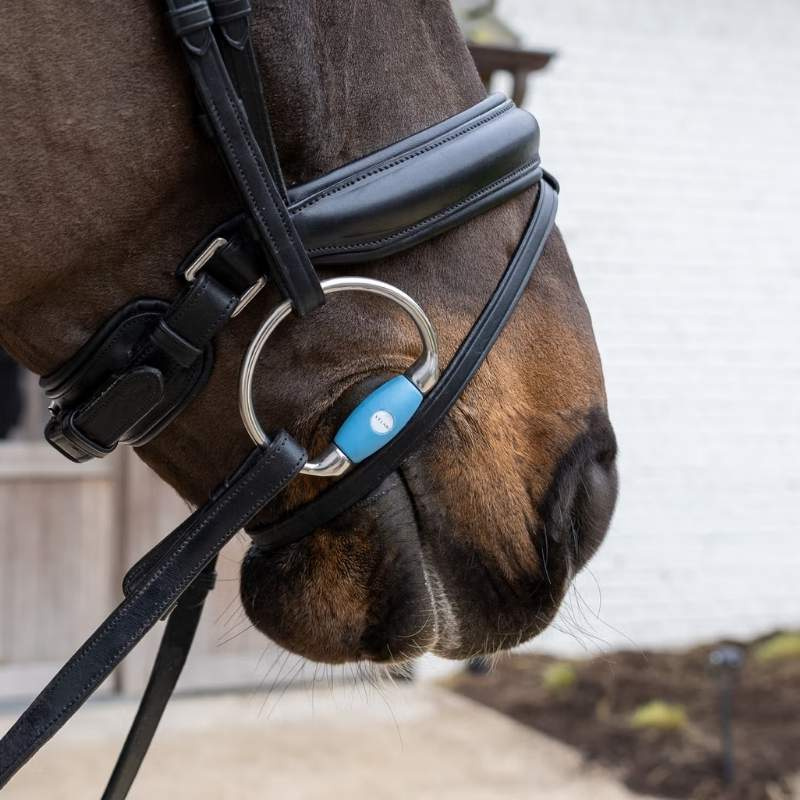 Eggbutt Bit Flex Medium 20mm