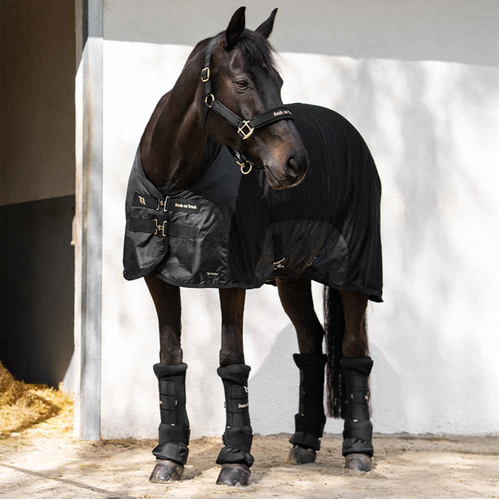 Mesh Rug Royal Deluxe Black