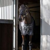 Mesh Rug Royal Deluxe Black Mesh Rug Royal Deluxe Black