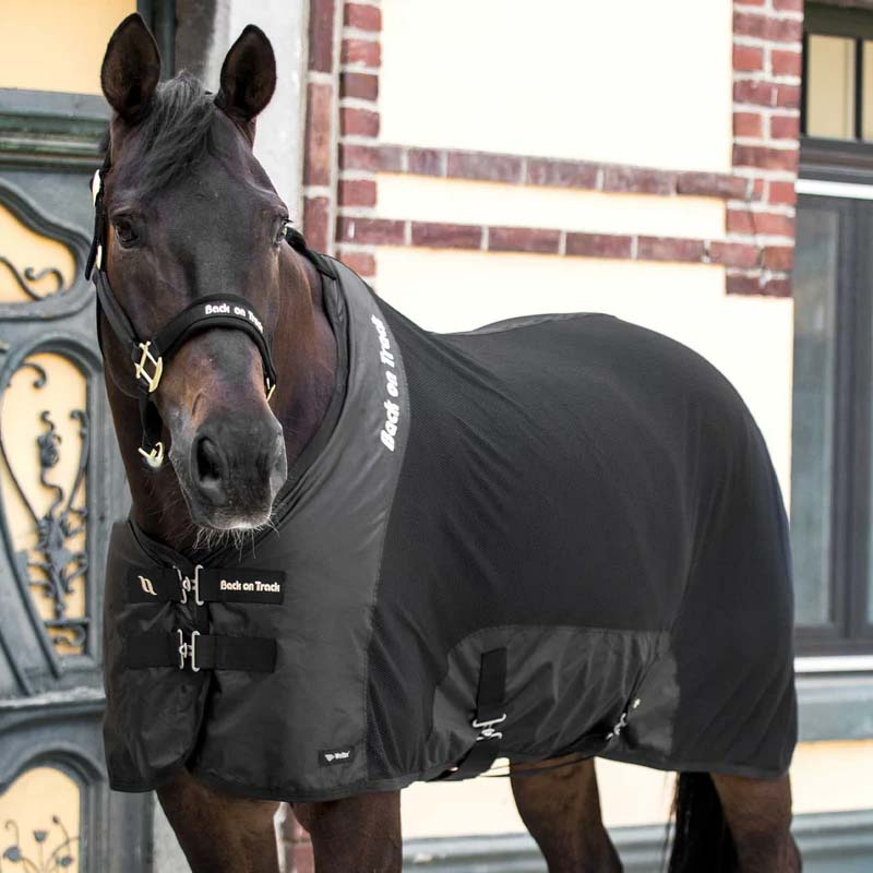 Mesh Rug Royal Deluxe Black