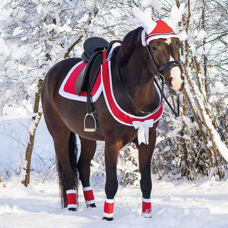 Breastplate Christmas Red/White