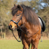 Reins Anti-Slip Fjara Icelandic Black Reins Anti-Slip Fjara Icelandic Black