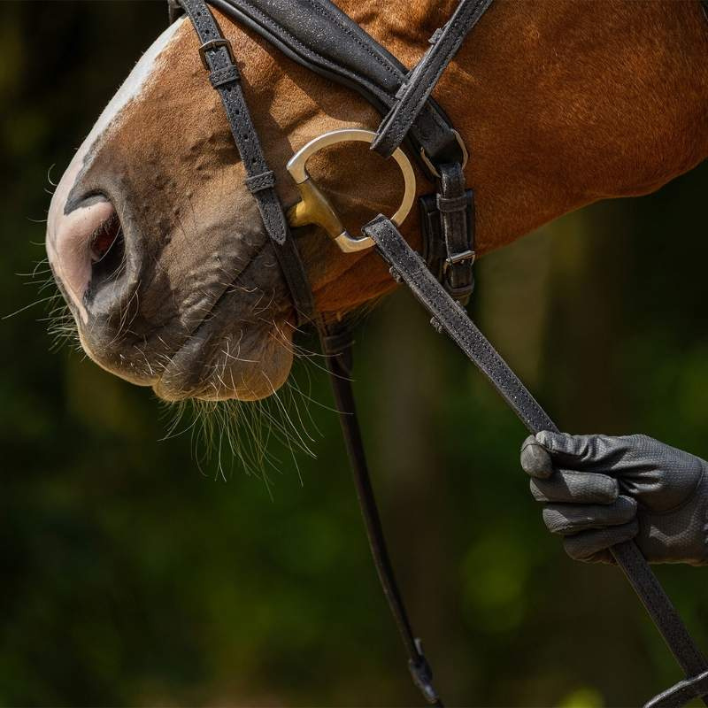 Reins Glitter Collection Black