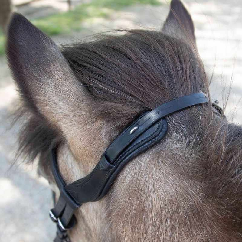 Icelandic Bridle Anatomic Black