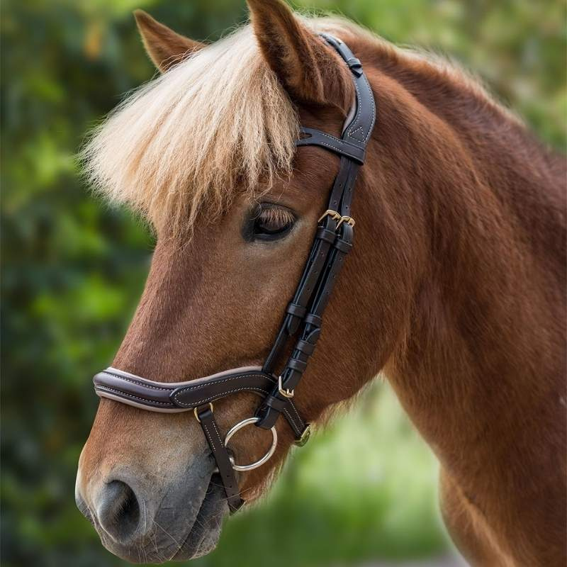 Icelandic Bridle Anatomic Brown