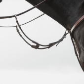 Short martingale Elastic Eccelente Brown Short martingale Elastic Eccelente Brown
