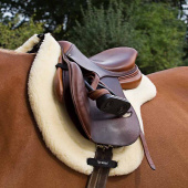 Saddle Pad Teddy Nature Saddle Pad Teddy Nature
