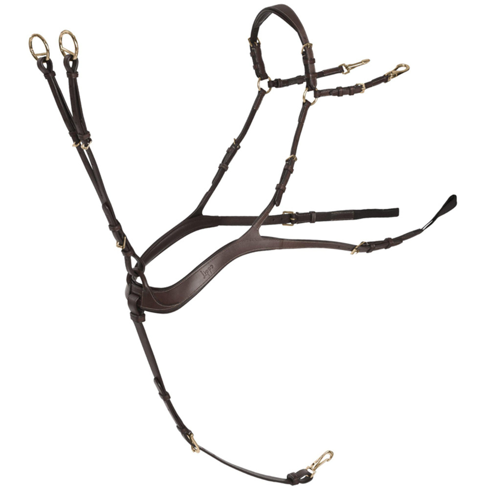 Anatomical Breastplate with Martingale Chocolate/Gold