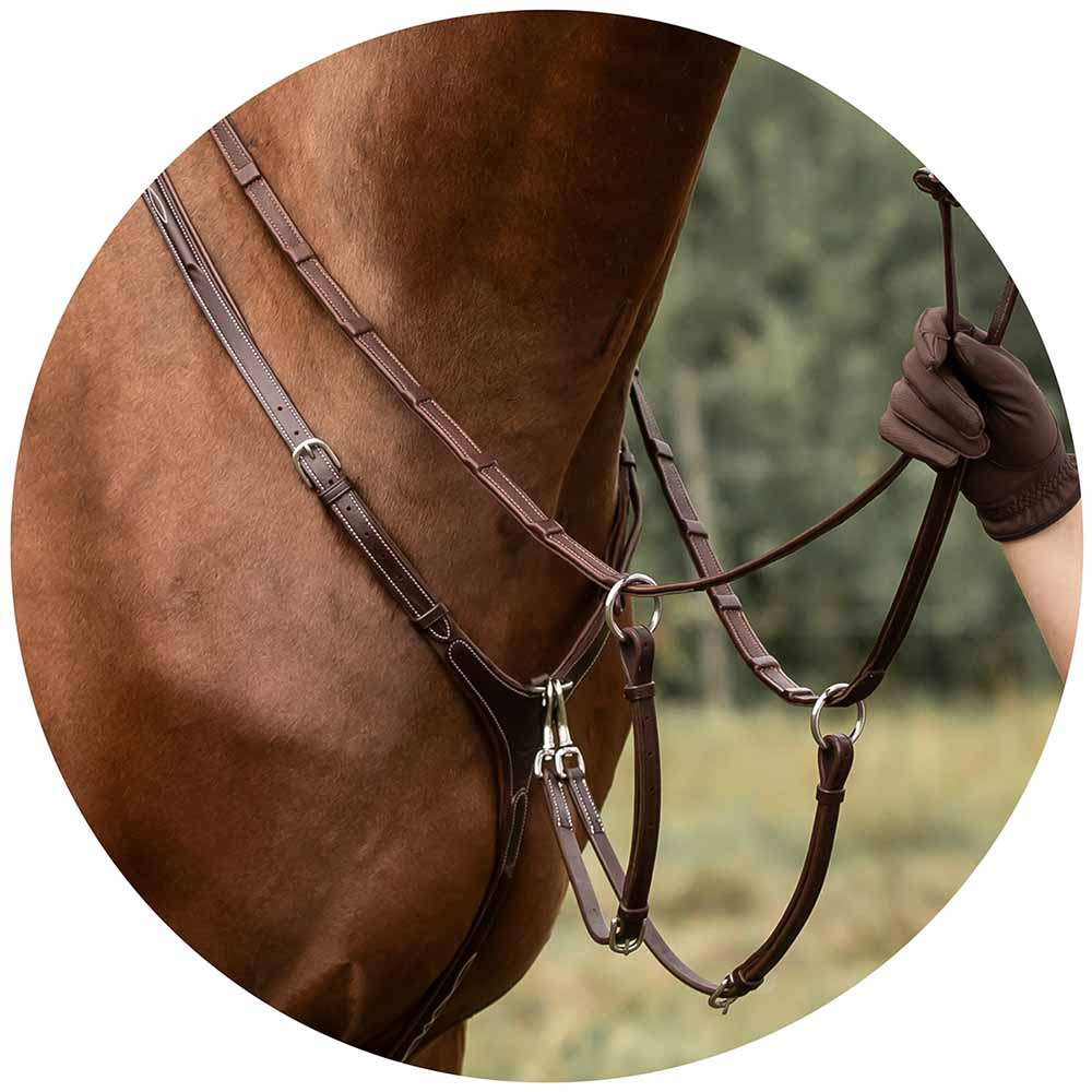 Martingale & Breastplate Fazzino Brown
