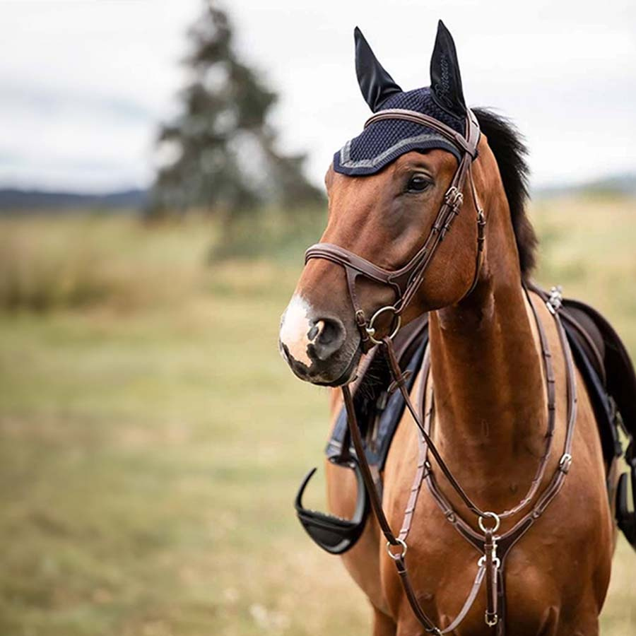 Martingale & Breastplate Fazzino Brown