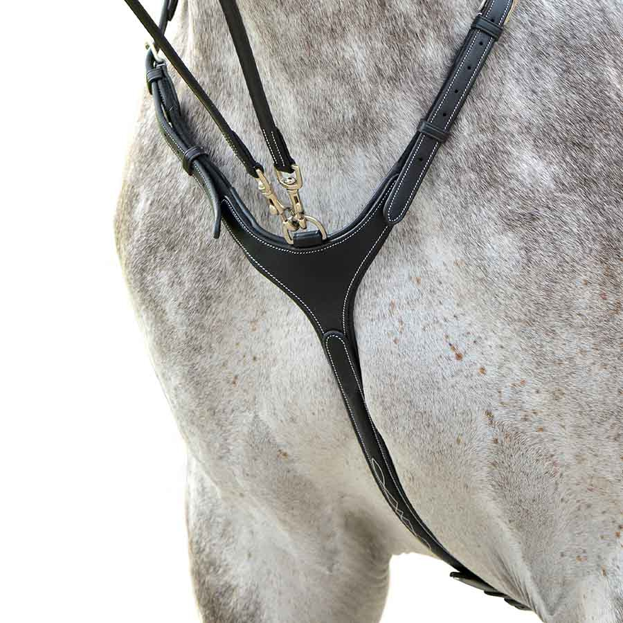 Martingale & Breastplate Fazzino Black