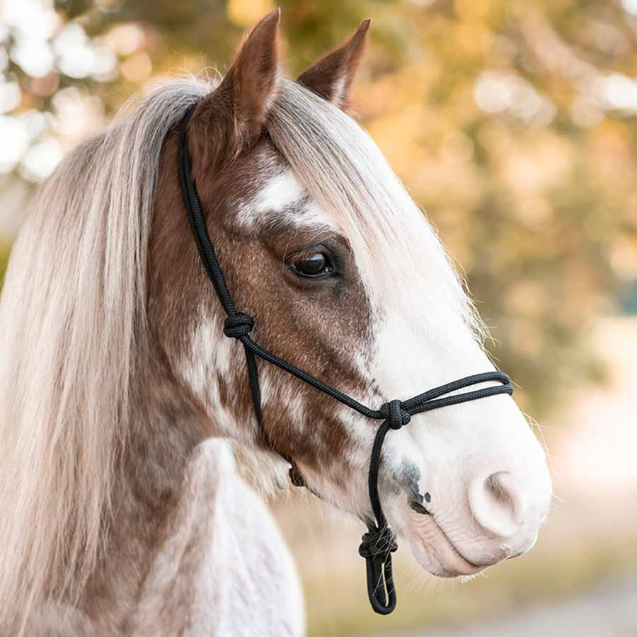 Rope Halter Polypropylene Black