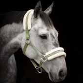 Halter with Fleece Olive Green/Natural Halter with Fleece Olive Green/Natural