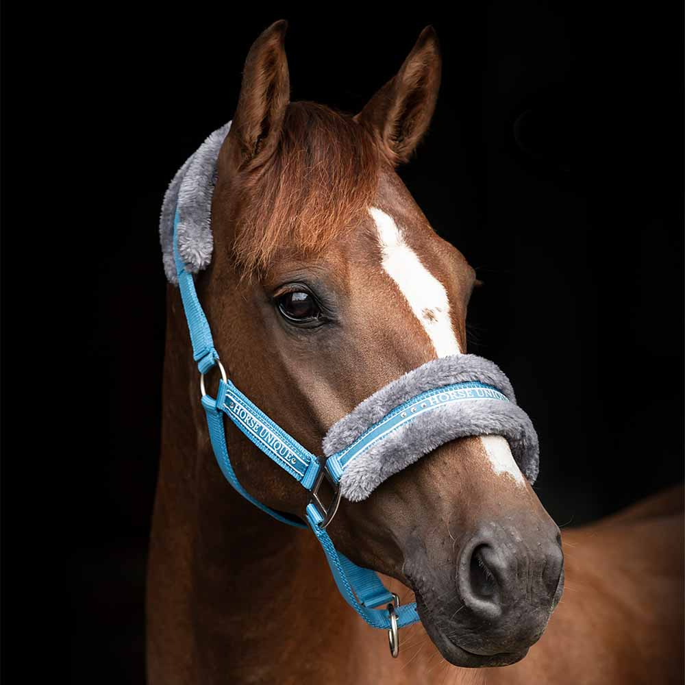 Halter with Fleece Mediterranean Blue/Grey