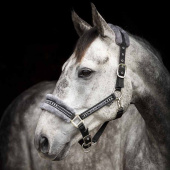 Halter with Fleece Black/Grey Halter with Fleece Black/Grey