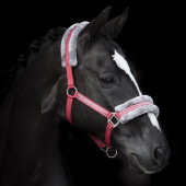 Halter with Fleece Red/Grey Halter with Fleece Red/Grey