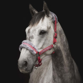 Halter with Fleece Red/Grey Halter with Fleece Red/Grey