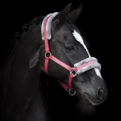 Halter with Fleece Red/Grey Halter with Fleece Red/Grey