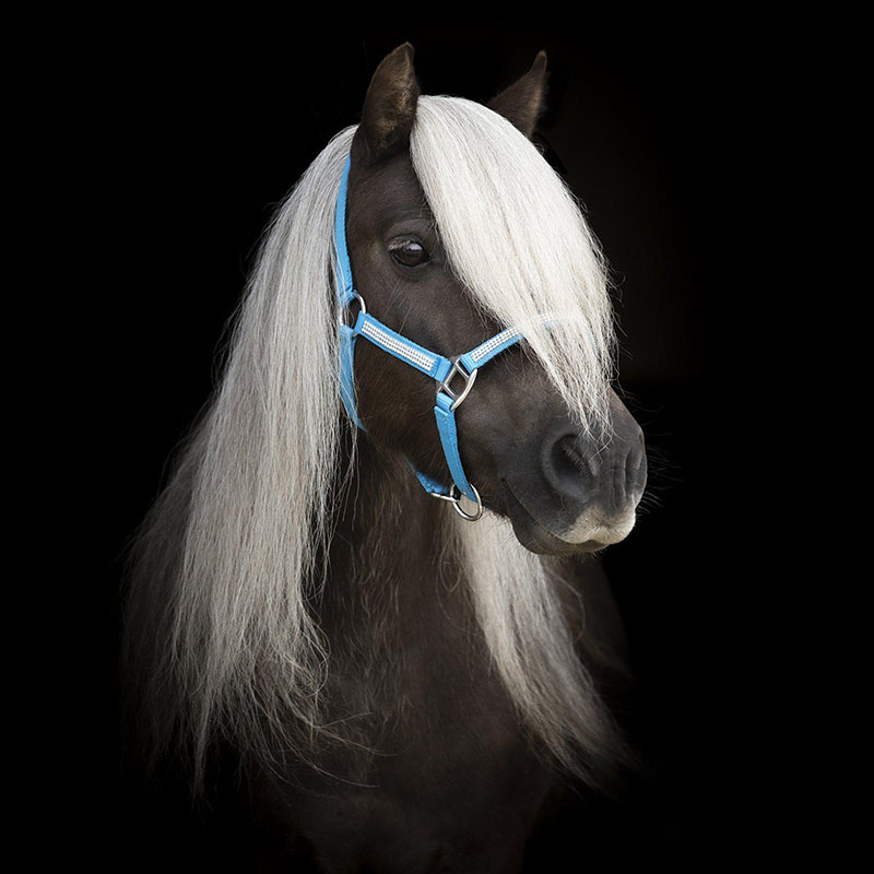 Halter Mini Strass Blue