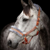Halter with Fleece Orange/Grey Halter with Fleece Orange/Grey