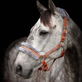 Halter with Fleece Orange/Grey Halter with Fleece Orange/Grey