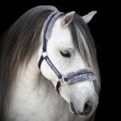 Halter with Fleece Navy/Grey Halter with Fleece Navy/Grey