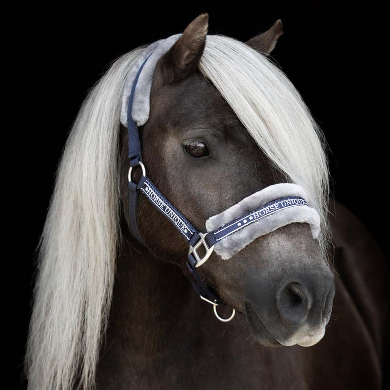 Halter with Fleece Navy/Grey