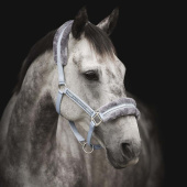 Halter with Fleece Light Blue/Grey Halter with Fleece Light Blue/Grey