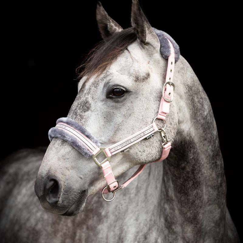 Halter with Fleece Light Pink/Grey