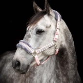 Halter with Fleece Light Pink/Grey Halter with Fleece Light Pink/Grey