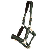 Halter Comfort Green Halter Comfort Green