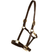 Leather Halter Fancy Brown Leather Halter Fancy Brown