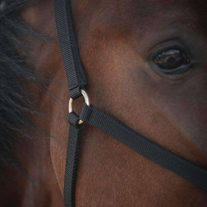 Halter Track Black