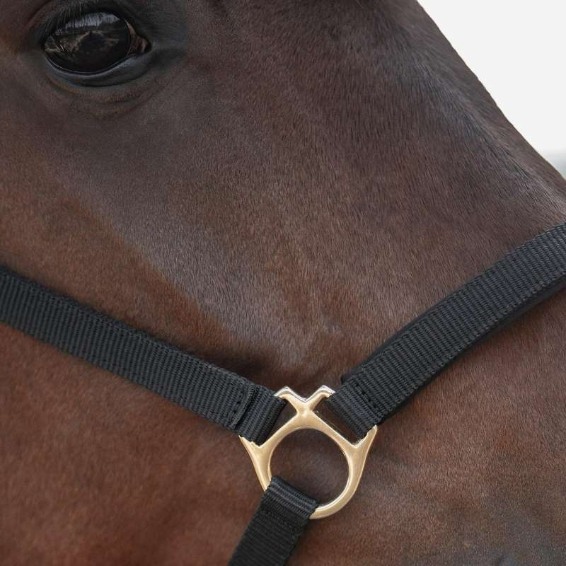 Halter Track Black