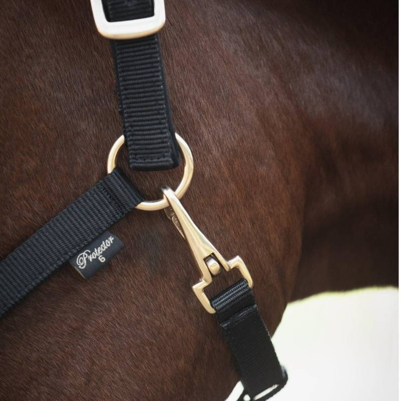 Halter Track Black