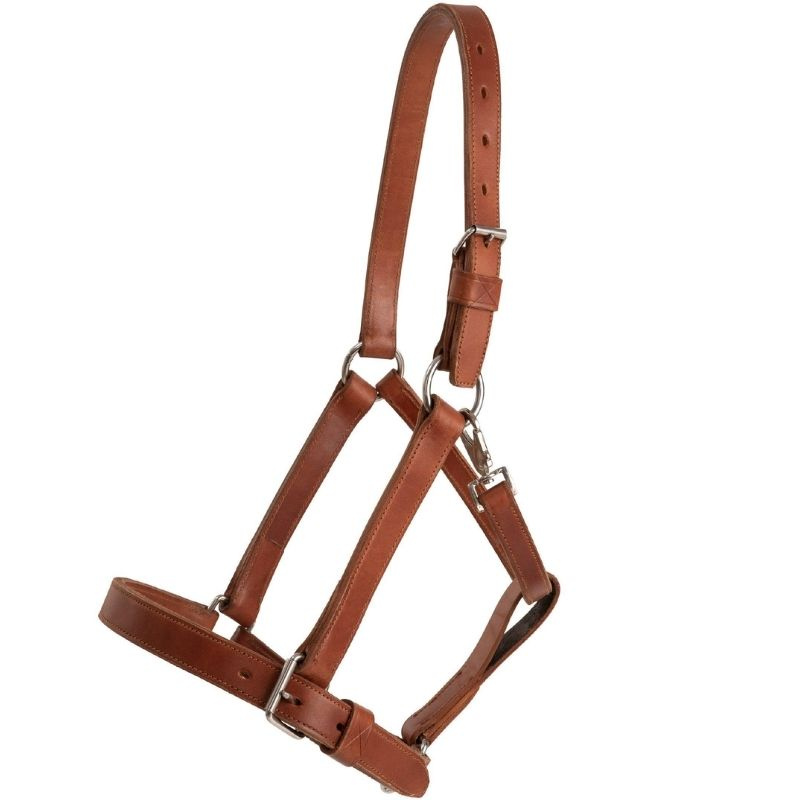 Leather Halter Draft Oak Bark