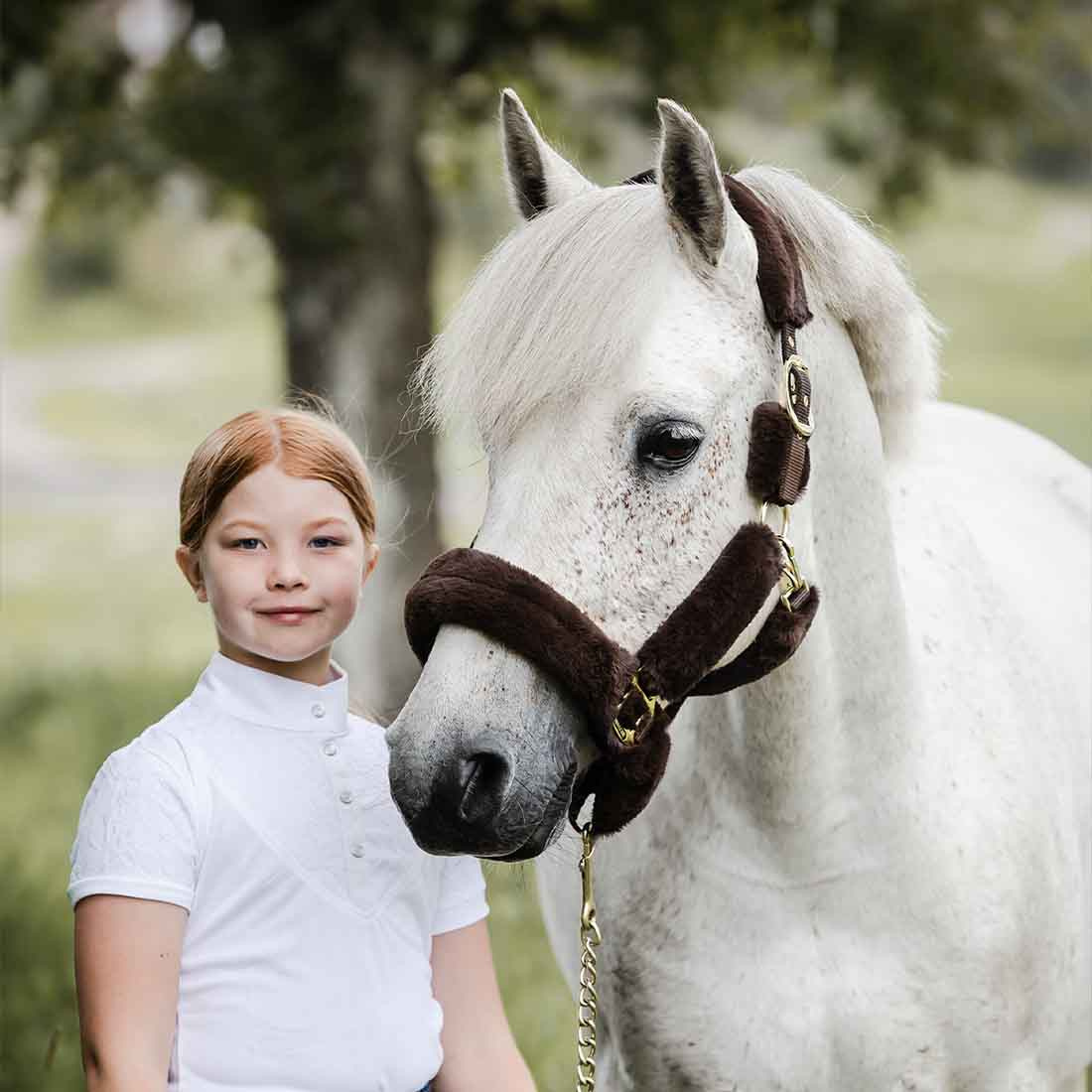 Halter Cozy with Fleece Brown/Brown