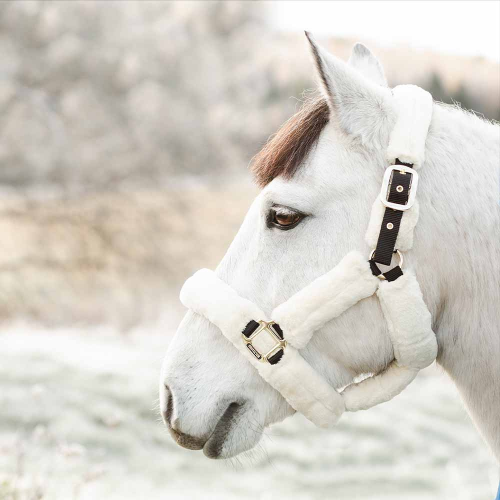 Halter Cozy with Fleece Black/Natural