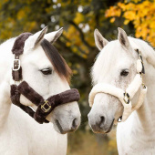 Halter Cozy with Fleece Black/Natural Halter Cozy with Fleece Black/Natural