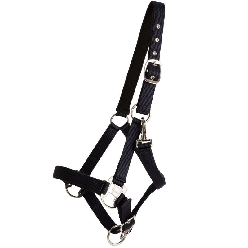 Halter Double Buckle Navy Blue